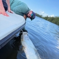 Puerto Rico fishing guide