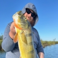Puerto Rico fishing guide